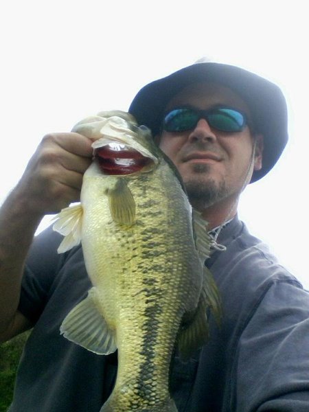 bass.jpg