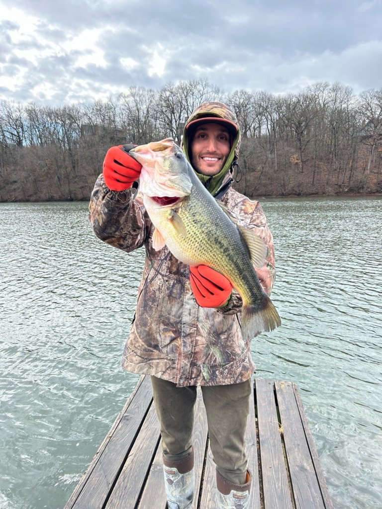 bass1.jpg