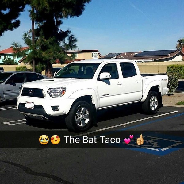 Bat-Taco.jpg