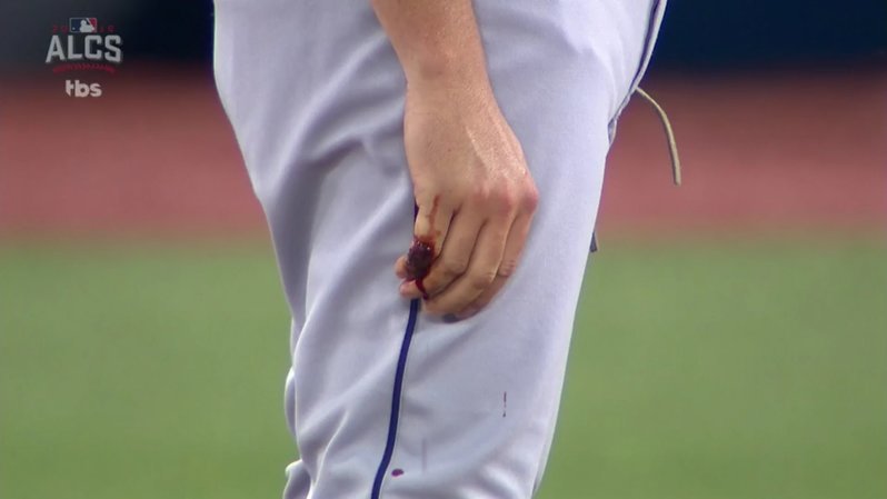 bauer.png.jpg