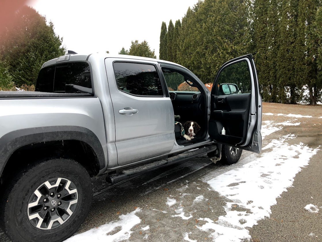 Bax in truck.jpg