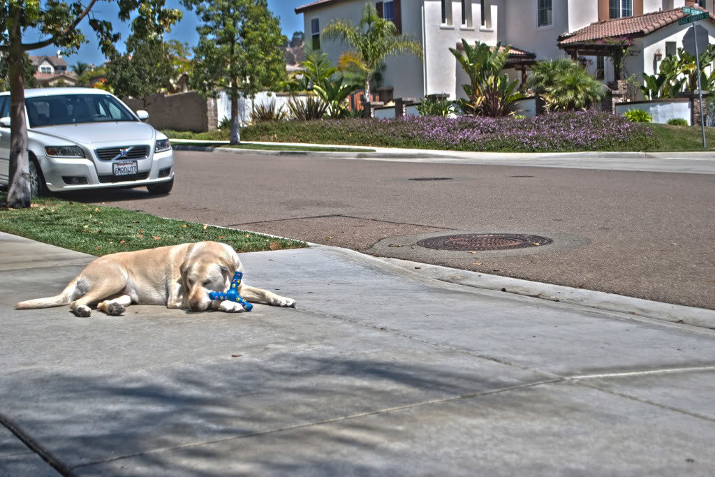 BayleeHDR_b1dae2f78258829a3ef5fd29c544b3eed18978e4.jpg