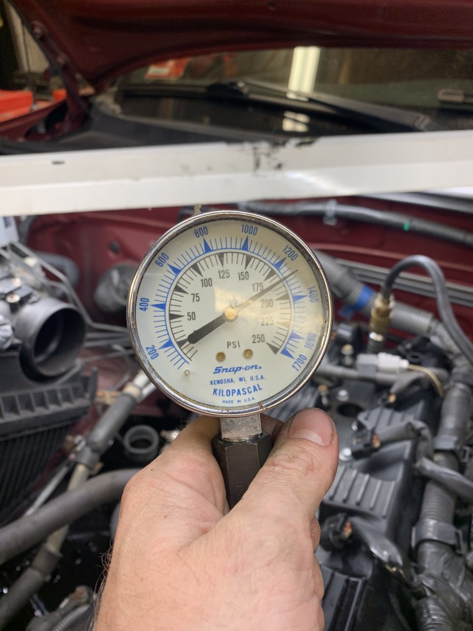 BB707DD9-FFEF-4BF0-A6C2-5732B0C928DD.jpg