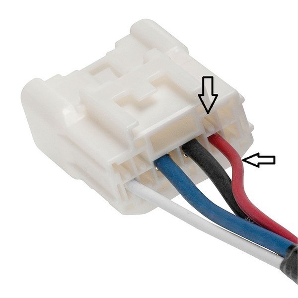 BC harness.jpg