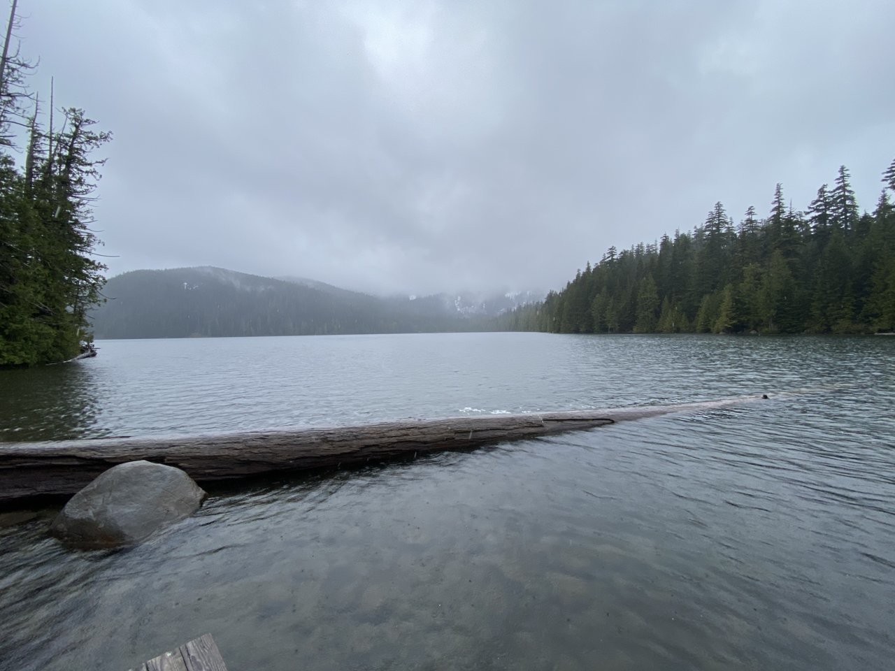 BC1E9429-5CC7-4E0F-BF33-41C8EC274B19.jpg