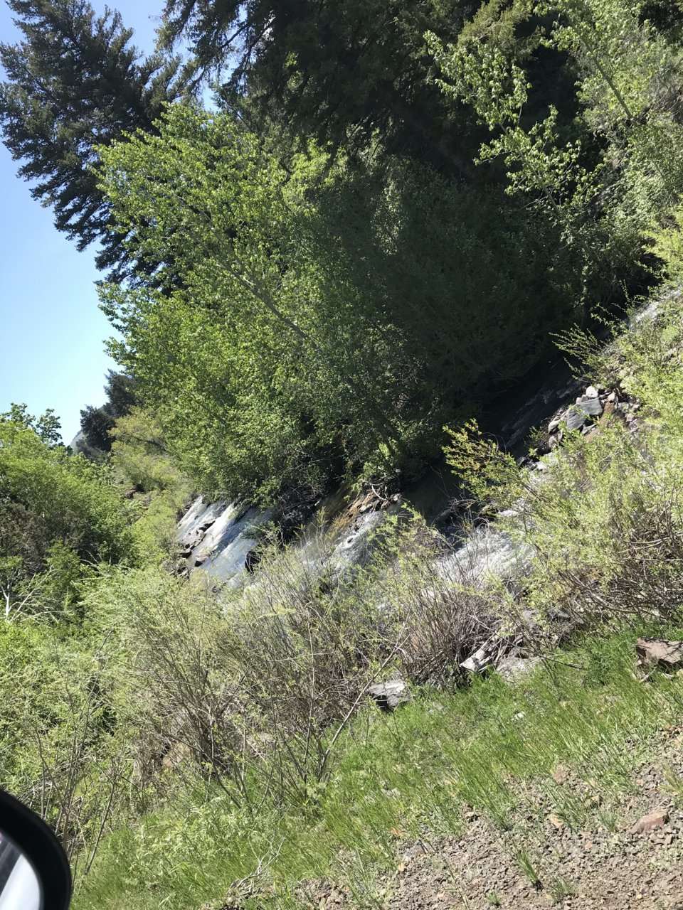 BC395BF6-DB6B-4E0C-9517-FA7762CF26A3.jpg