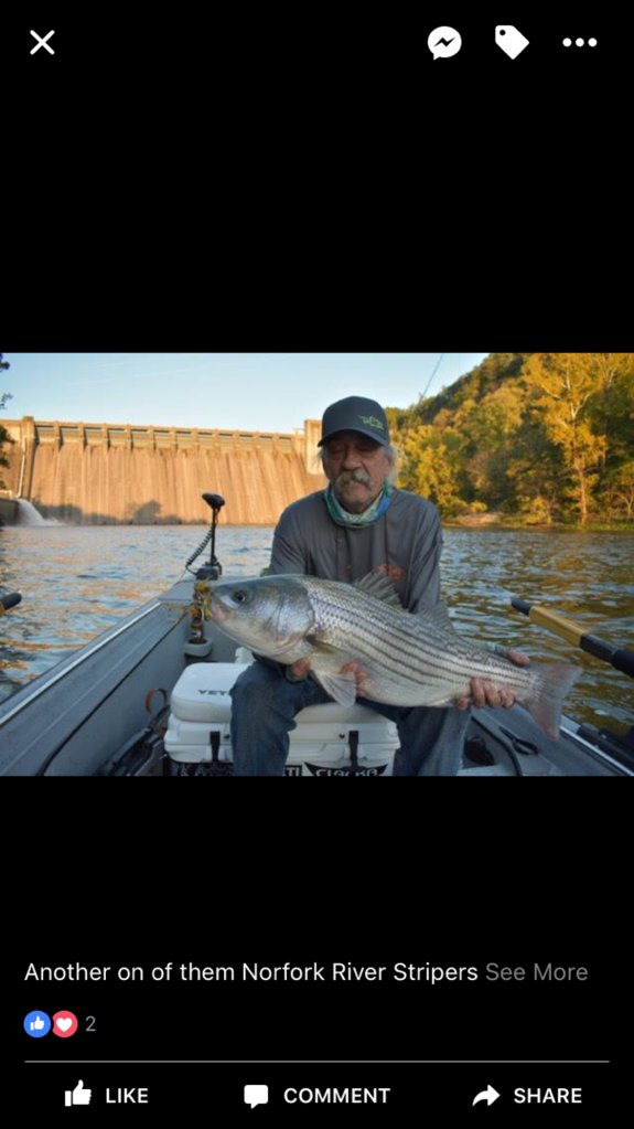 Clouser flies - Page 4 - Fly Fishing - SurfTalk