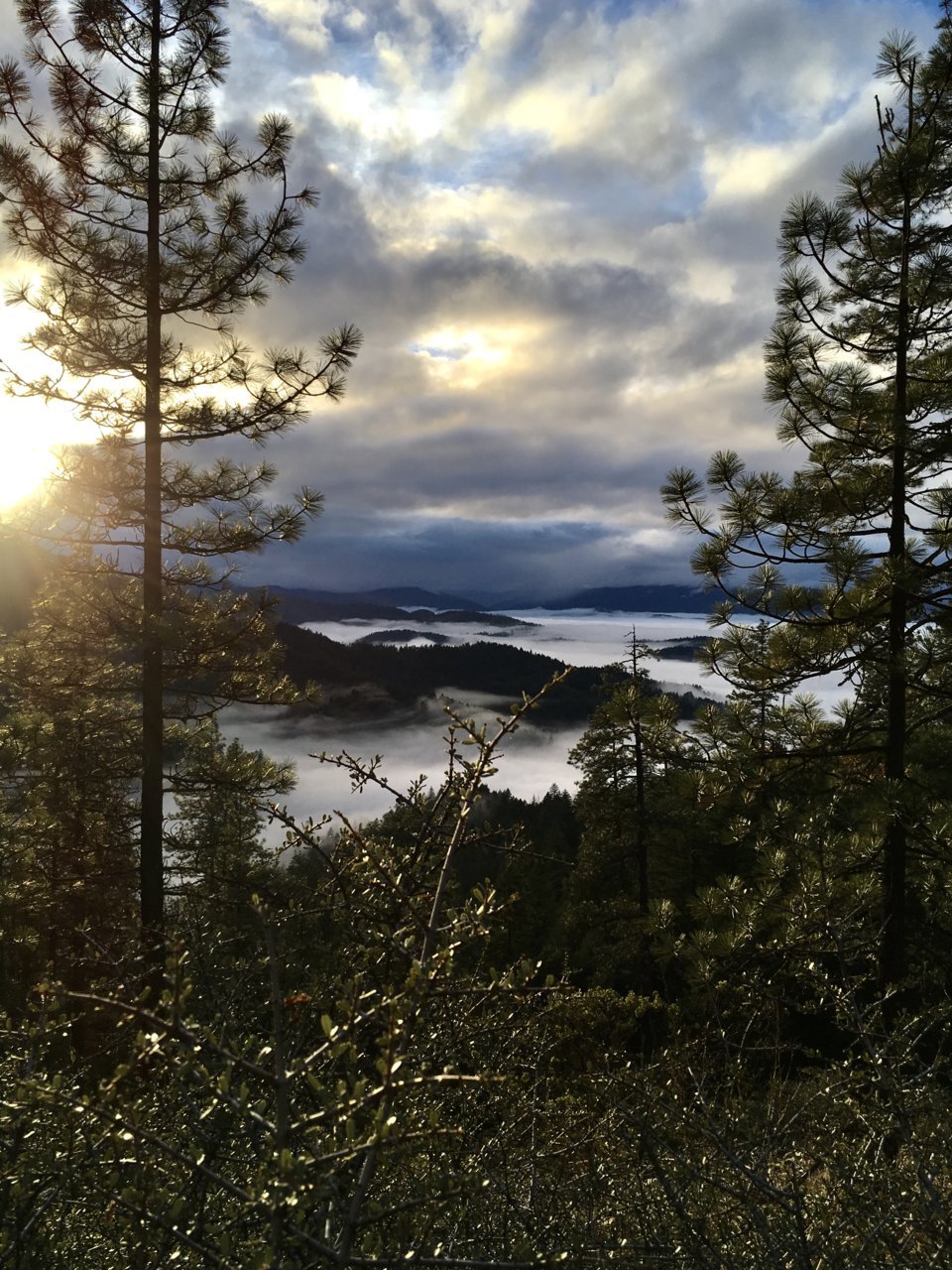 BC8E9006-28A7-4E0A-BC67-7956216475DC.jpg