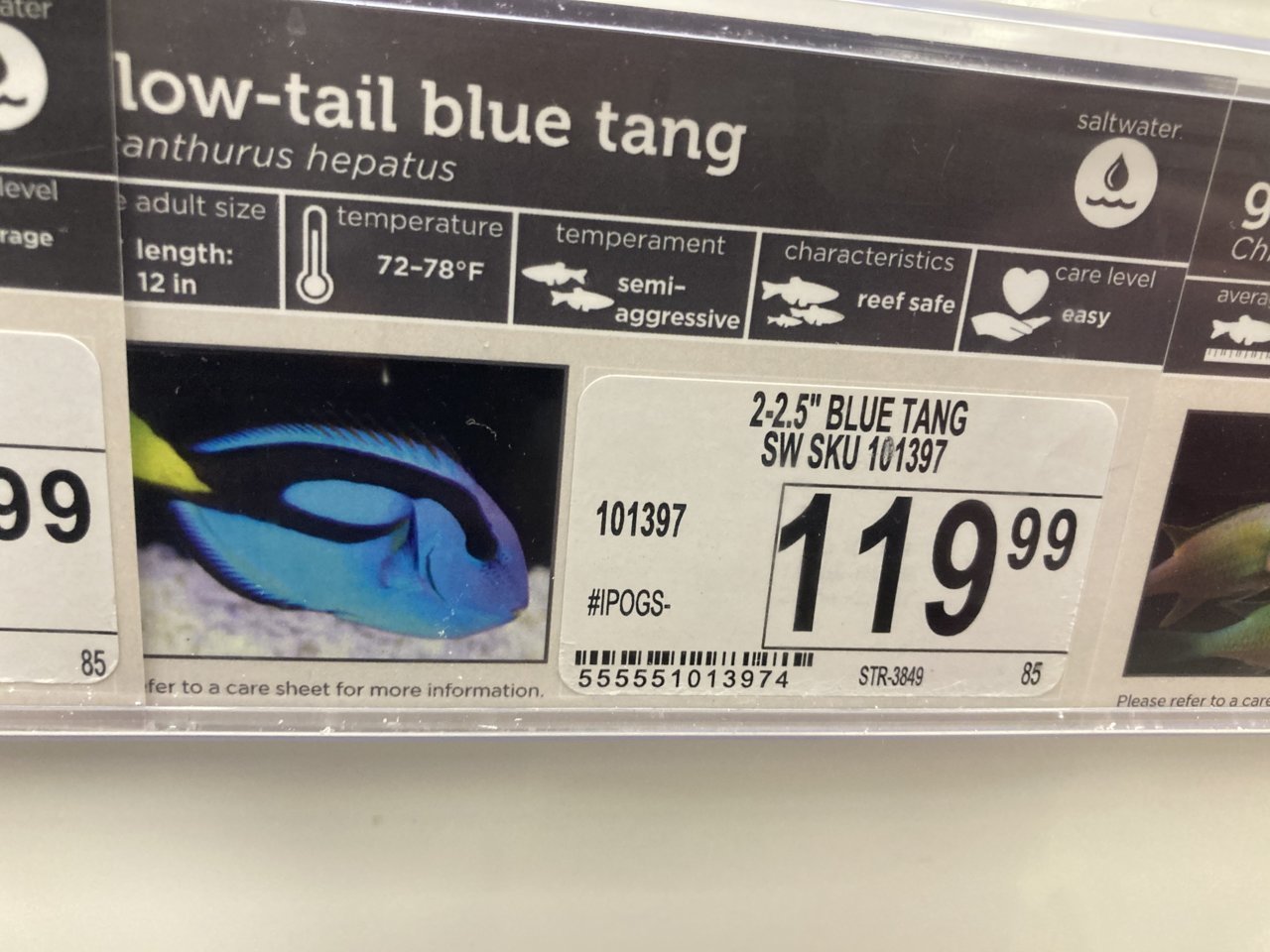 BC9A5BFE-A777-4E6C-B282-D26113C81896.jpg