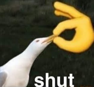 bcd.jpg