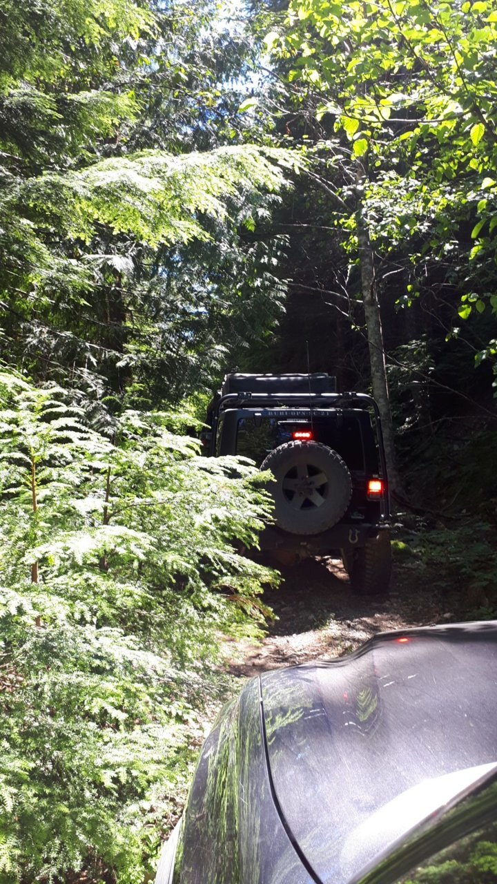 BCORtrail.jpg
