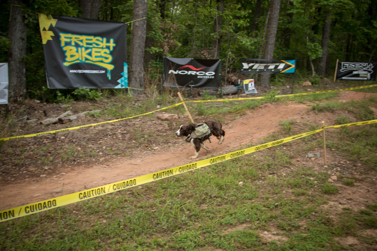 bcqc2017_0516.jpg
