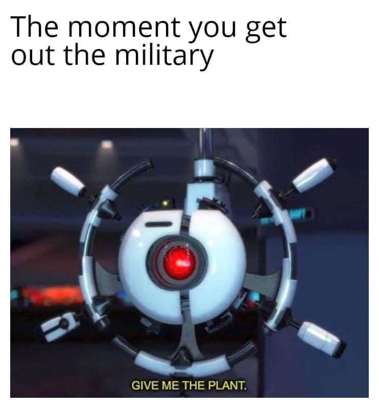 BdJeCXb.jpg