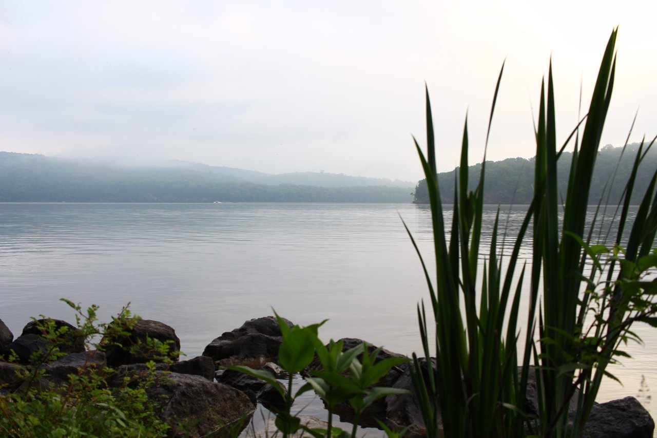 BE2C7579-71B5-4425-AAB3-92F710262C5D.jpg