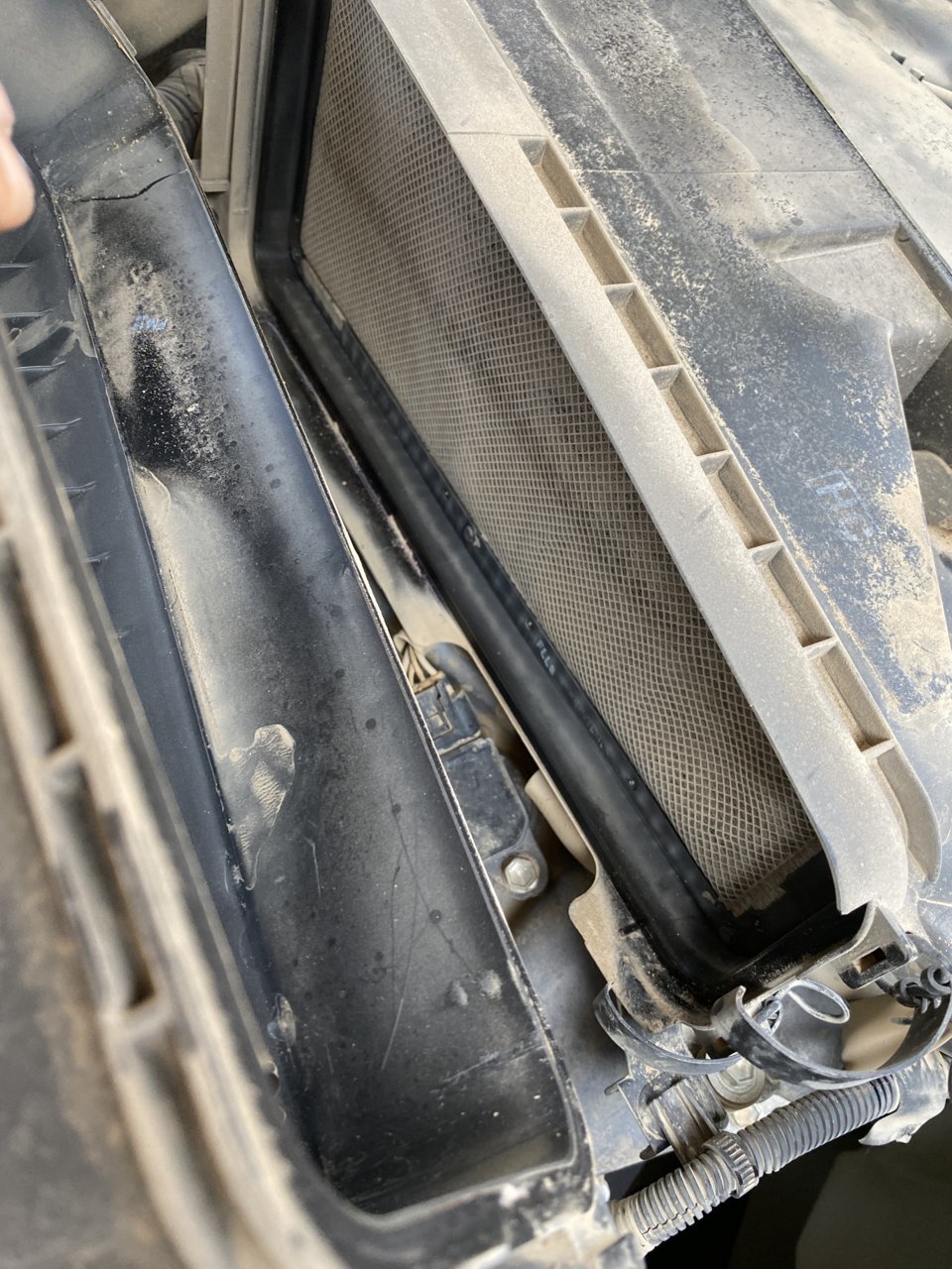 BEA6B697-168C-4DAF-A60B-761A67190BF8.jpg