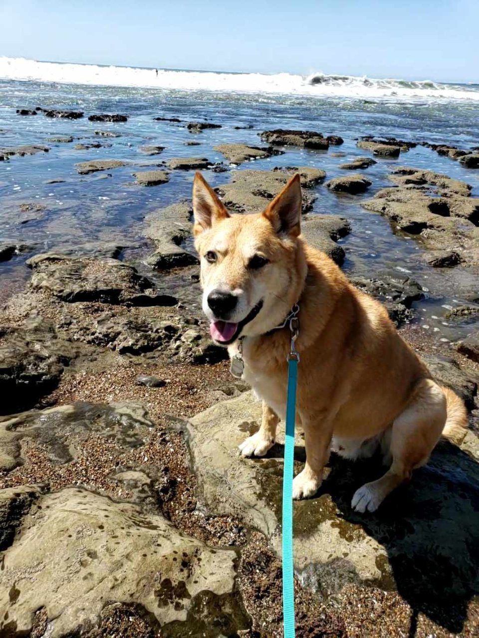 beach.jpg