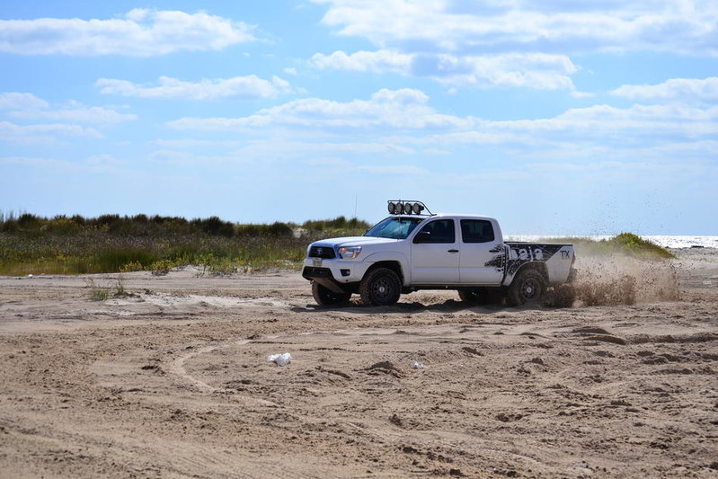 Beach Nov2014 073.jpg