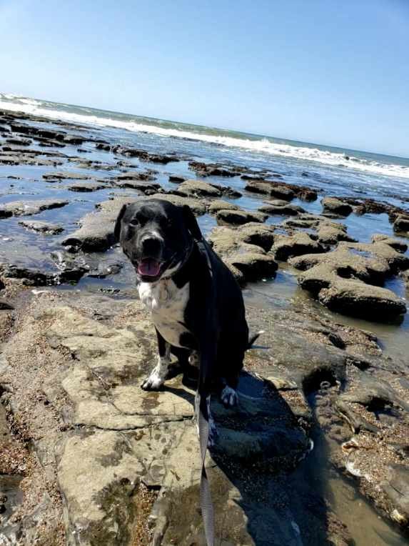 beach1.jpg