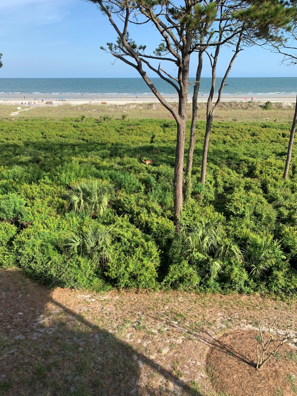 beach3 2019.jpg