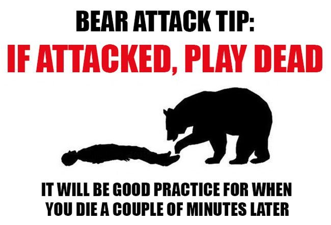 Bear attck.jpg