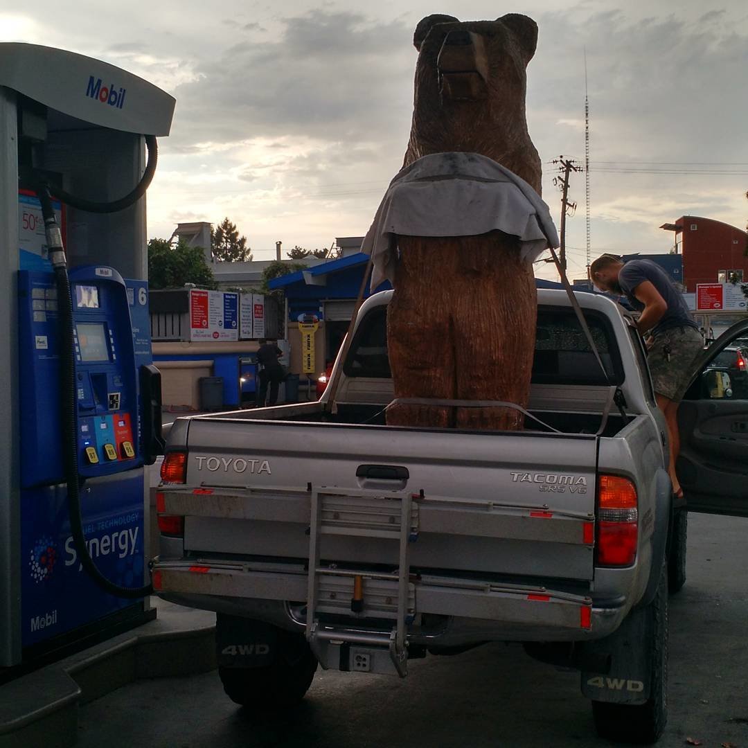 bear-no-shell.jpg