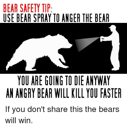 bear-safety-tip-use-bear-spray-to-anger-the-bear-4487591.jpg
