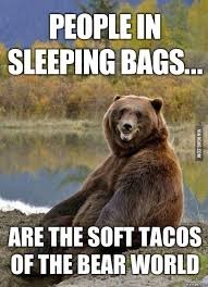 bear taco.jpg