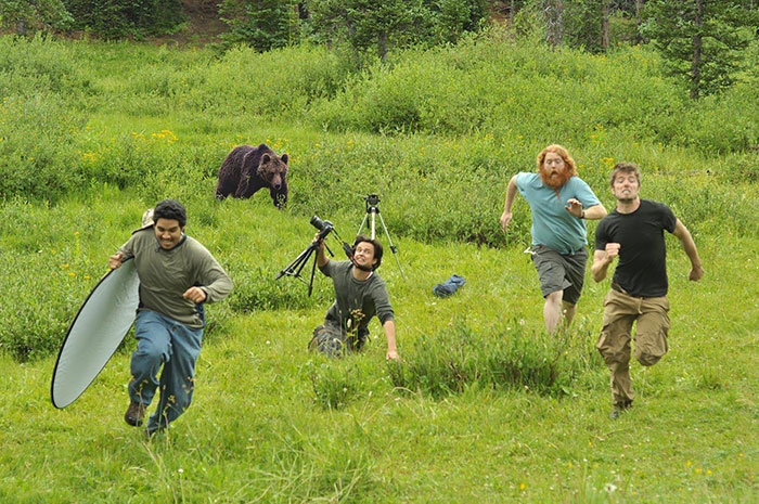 Bear Turf.jpg