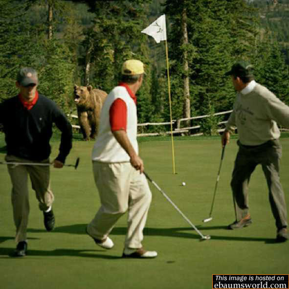 beargolf.jpg