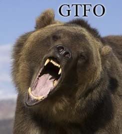 BearGTFO_8f132a3f000e2ffb3dc5a12875201d983407bc86.jpg