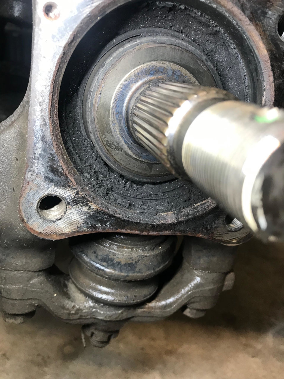 bearing1.jpg