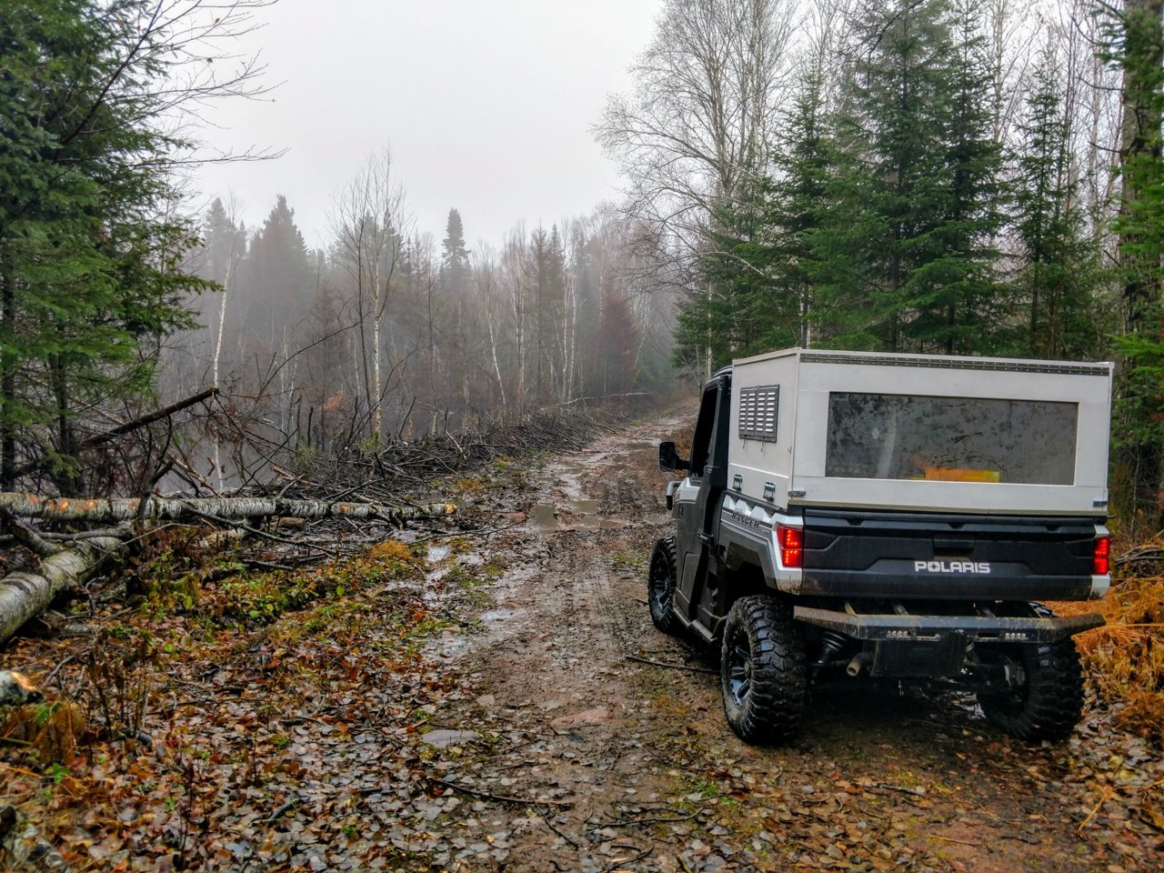 Beaver dam 2.jpg