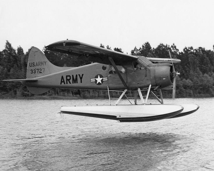 Beaver Ref 1.jpg