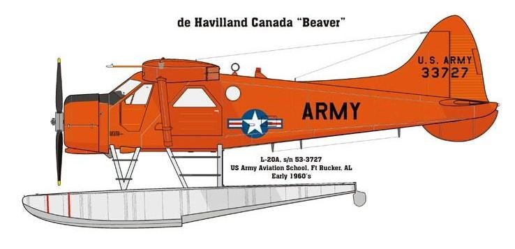 Beaver Ref 3.jpg