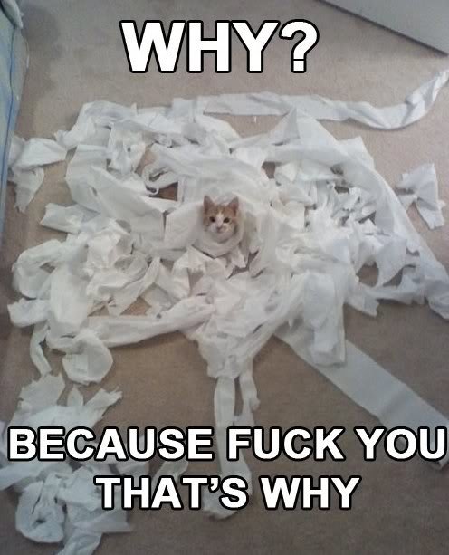 Because-fuck-you_db96464e4066bdd68cd4eedb6cdd22072de1c54c.jpg