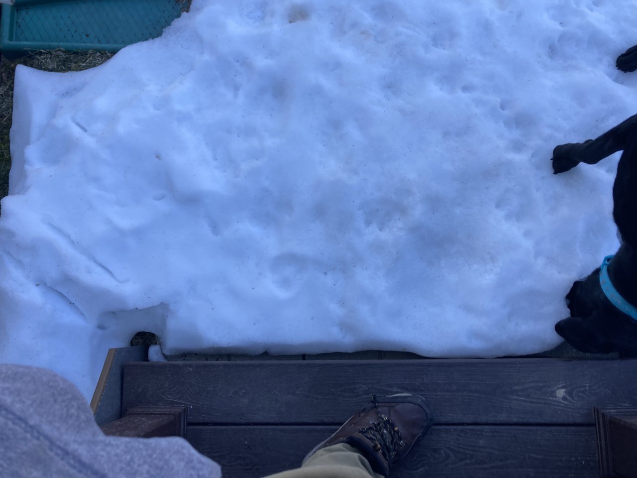 BED488C0-E656-4456-8537-695A38EBDB21.jpg