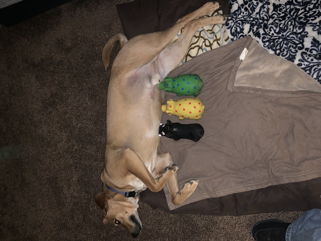 BED6FE10-7AEE-4EE7-9C5D-420C8F32FF44.jpg