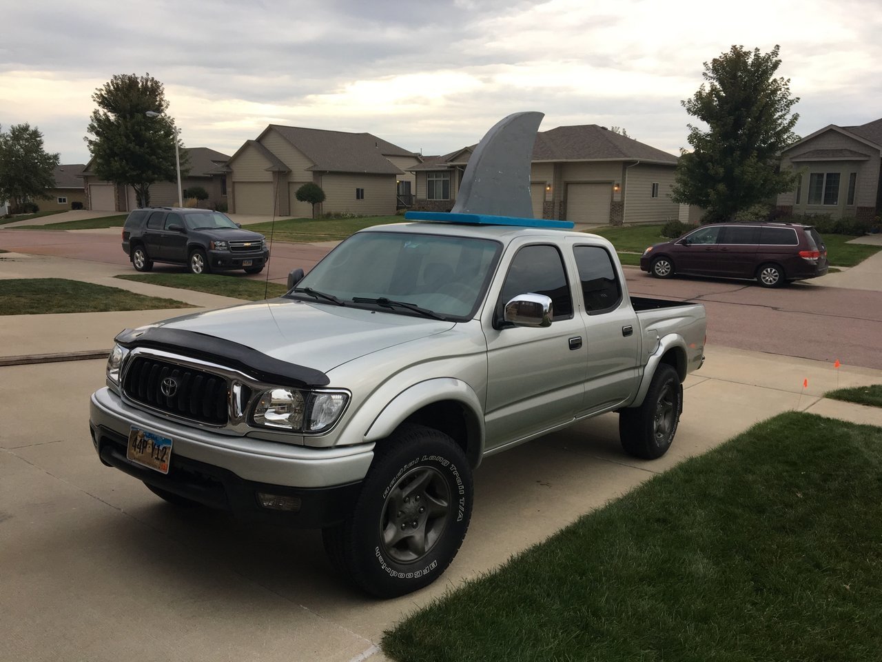 bedliner 4.jpg