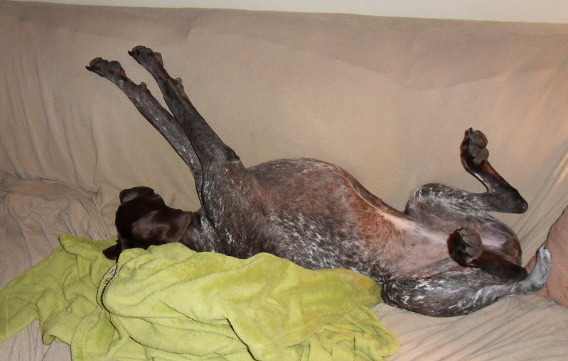 bedtime.jpg