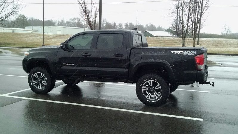Beefy Taco 4.jpg