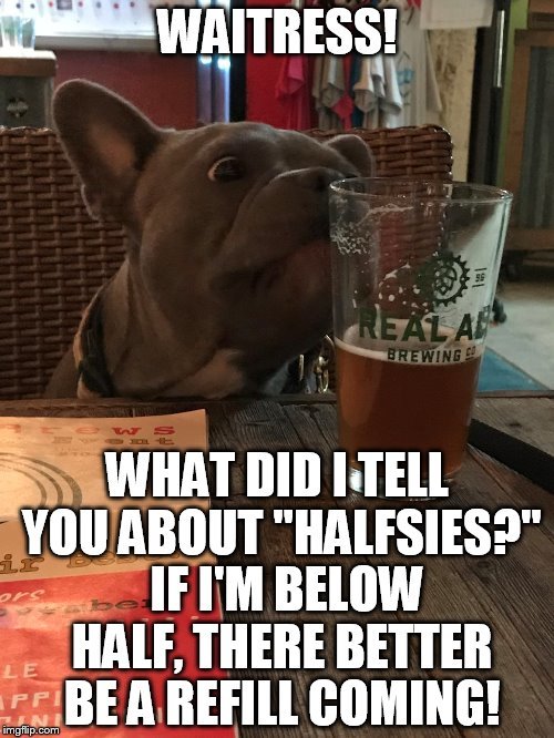 Beer dog.jpg