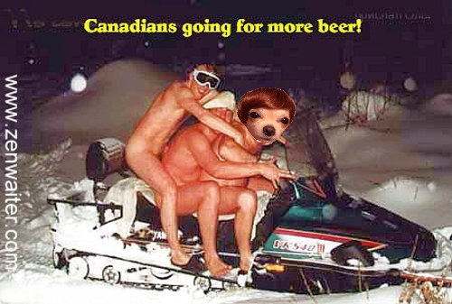 beerrun.jpg