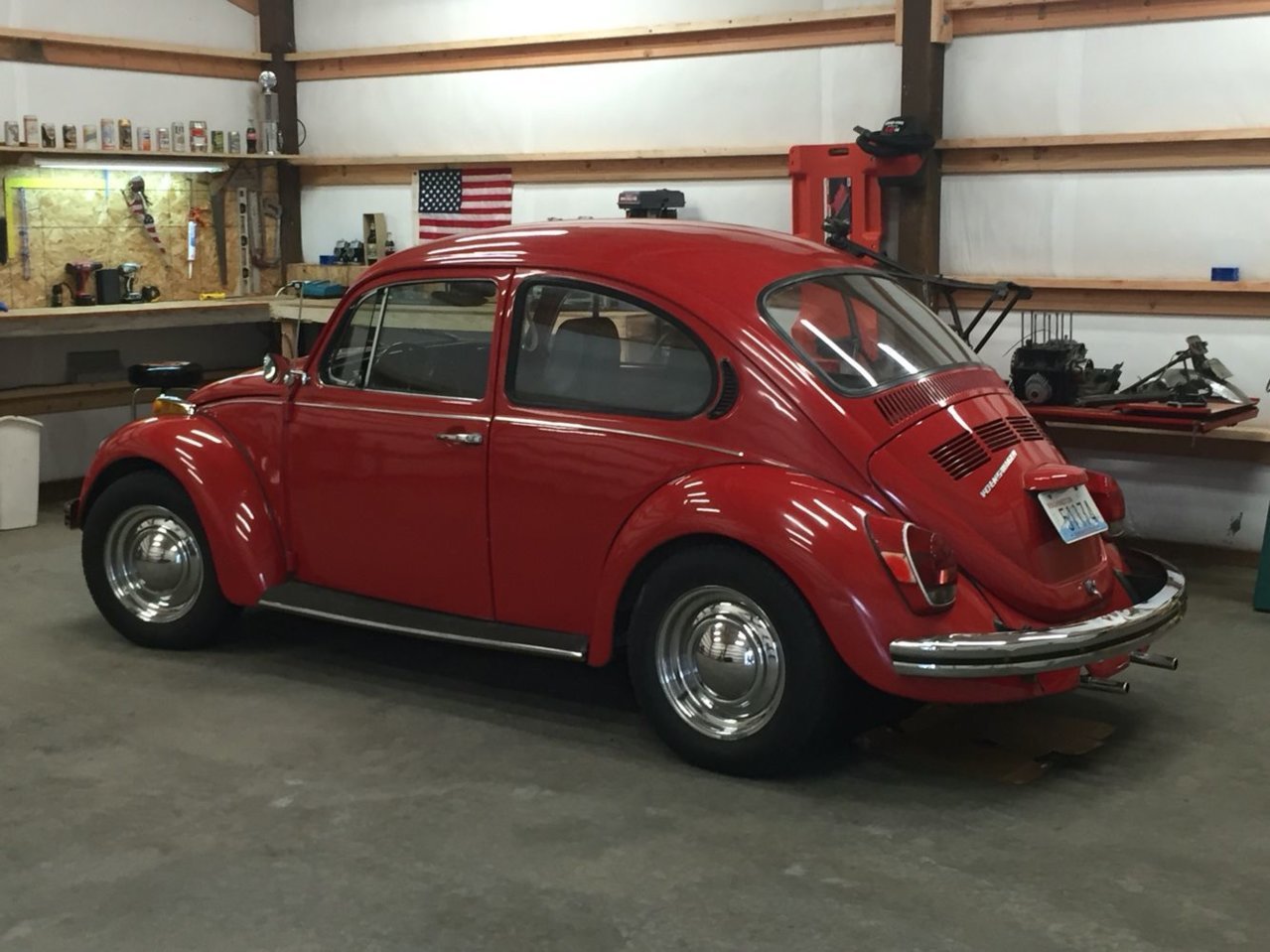 beetle.jpg