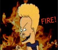 beevis fire.jpg