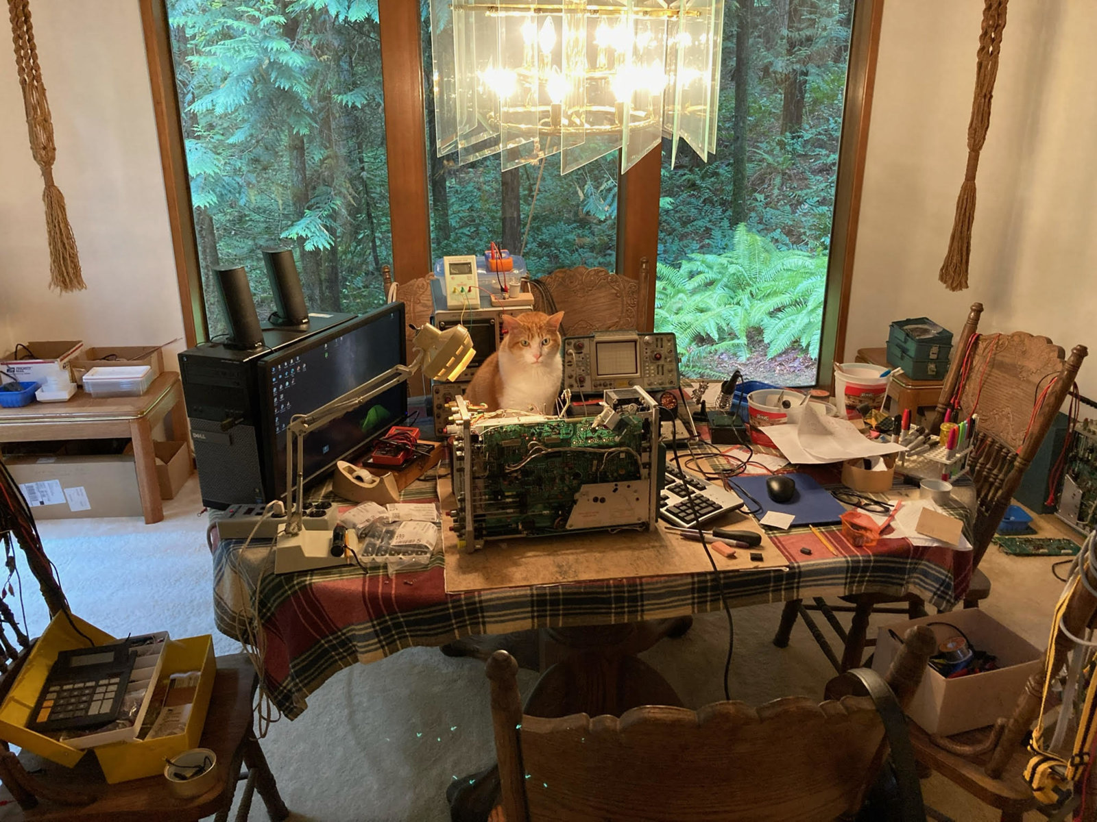 before with assistant.jpg