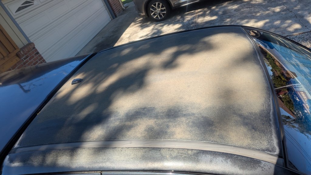 Before_sanding2.jpg