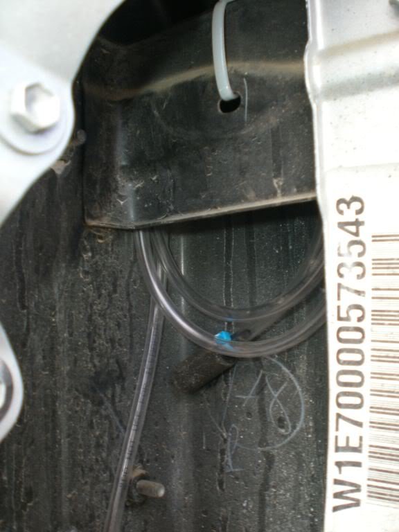 behindtail_ec4d500c99a01e692a241e3264315c92332f1ad0.jpg