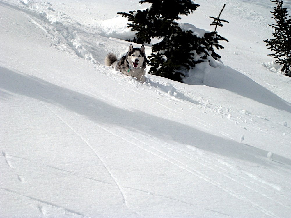 Bell at Vail.jpg