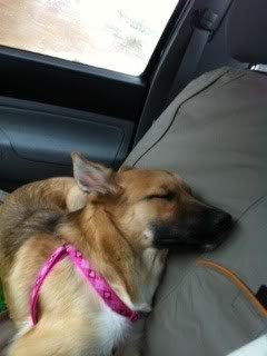 bellasleeping_2f7ef5f9fea583db0620cf8ae53f9720dd07710f.jpg