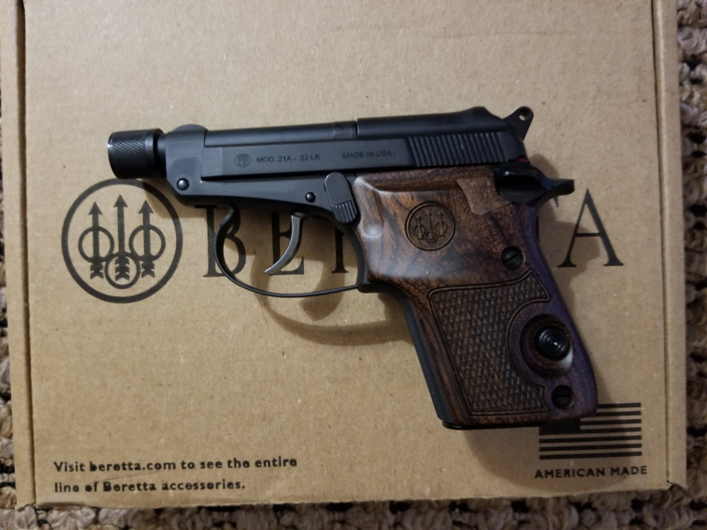 Beretta21A.jpg